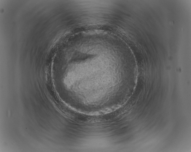 X0000072540742200607281623