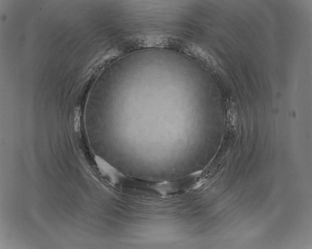 X0000072540744200607281623