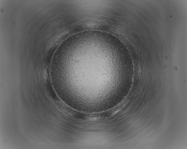 X0000072540746200607281623
