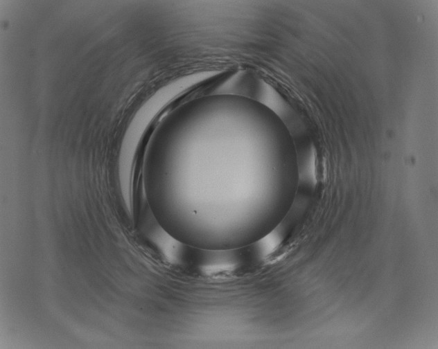 X0000072540750200607281623