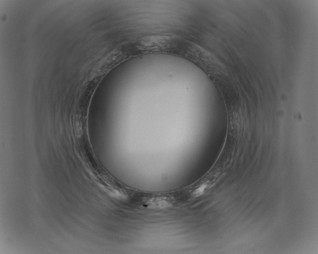 X0000072540751200607281623