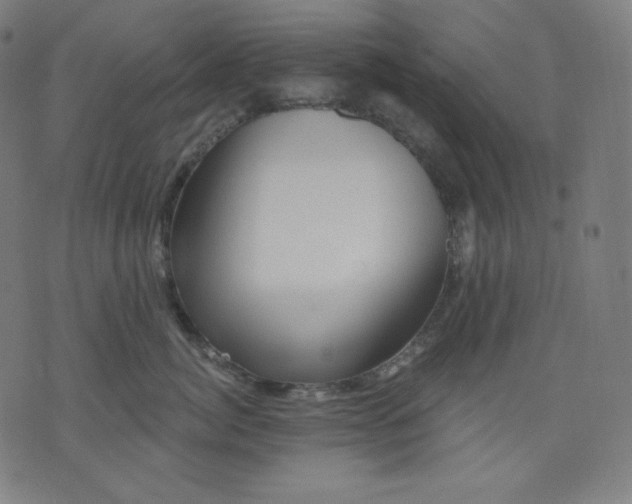 X0000072540764200607281623