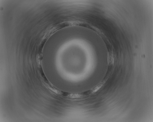 X0000072540766200607281624
