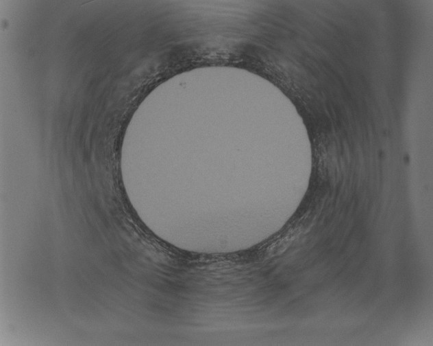 X0000072540769200607281623