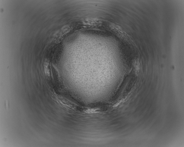 X0000072540770200607281623