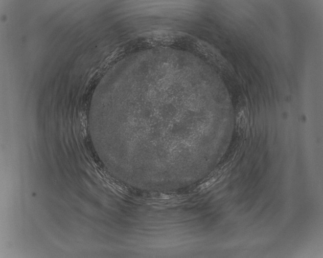 X0000072540772200607281623