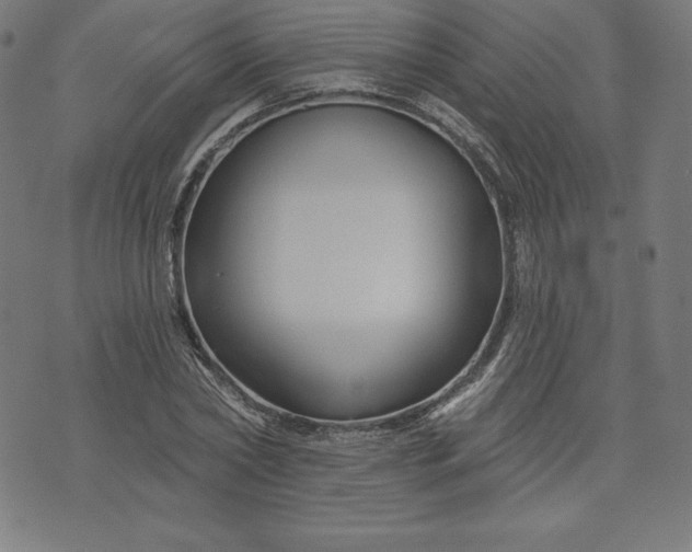 X0000072540782200607281623