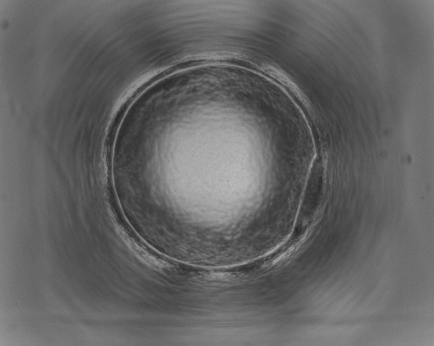 X0000072540787200607281622