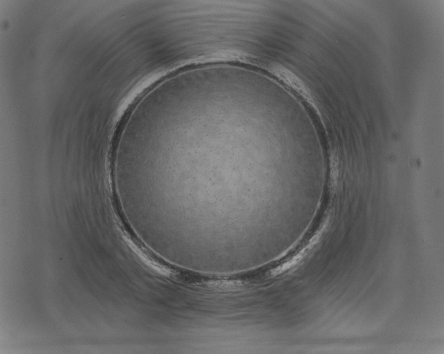 X0000072540789200607281622