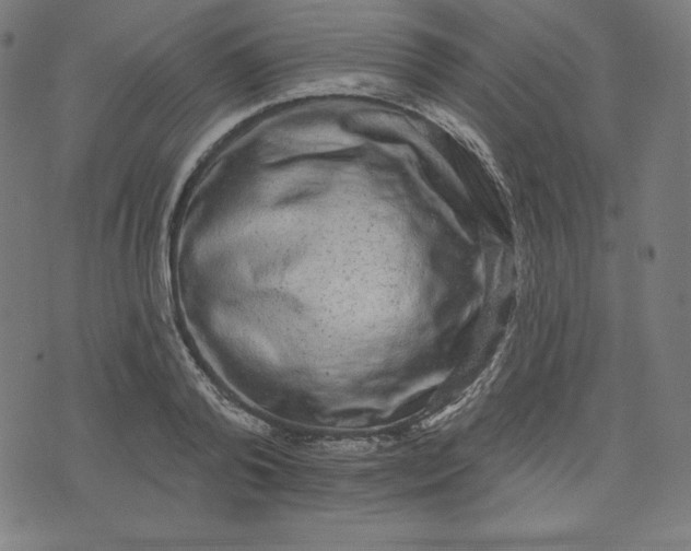 X0000072540792200607281622