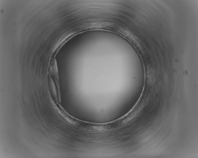 X0000072540794200607281622