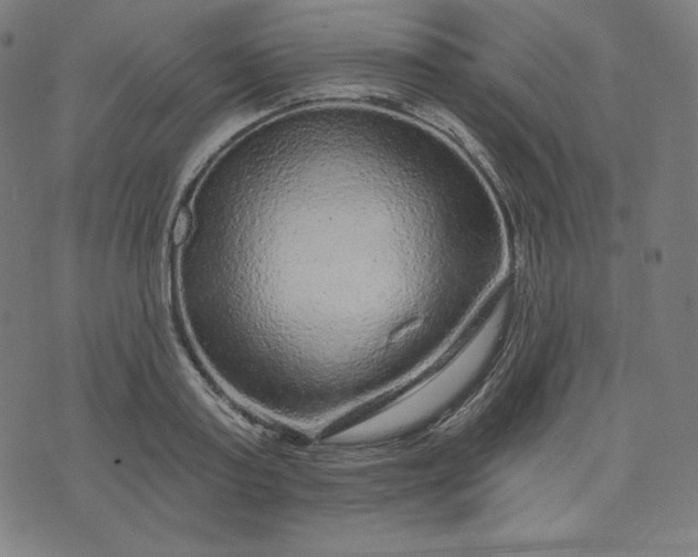 X0000072540795200607281622