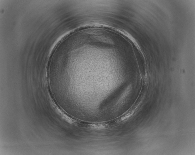 X0000072540799200607281622