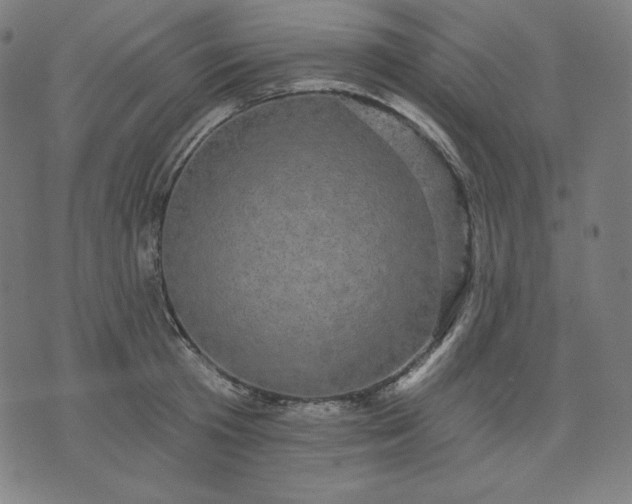 X0000072540801200607281622