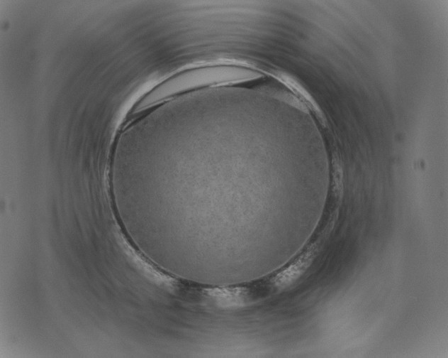 X0000072540805200607281622