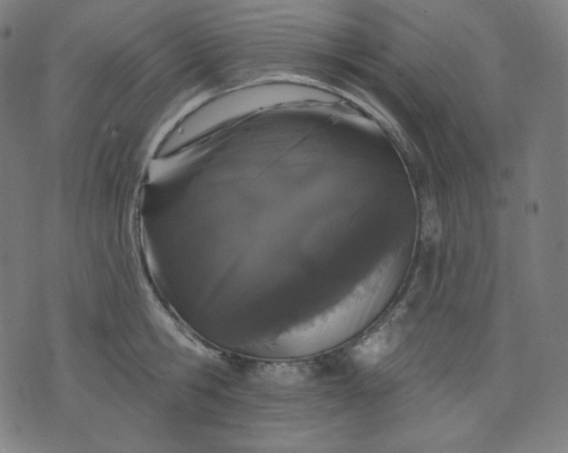 X0000072540806200607281622