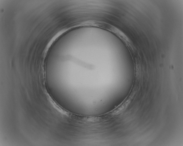 X0000072540808200607281622