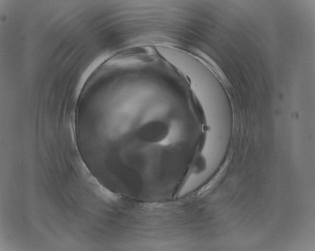 X0000072540812200607281622