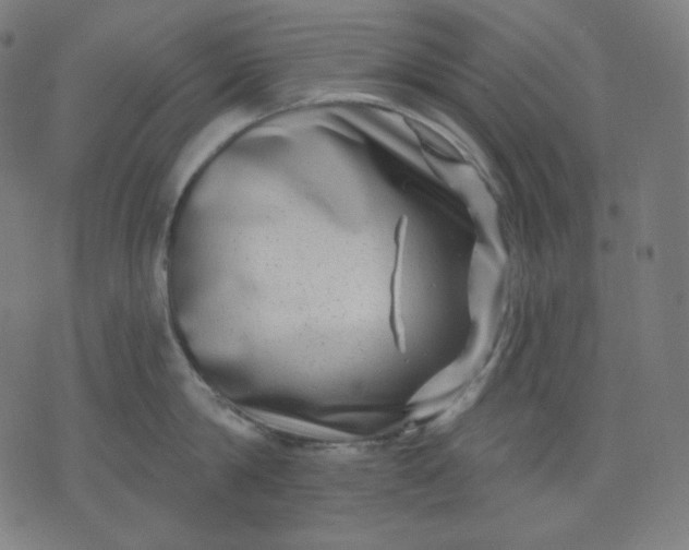 X0000072540814200607281622