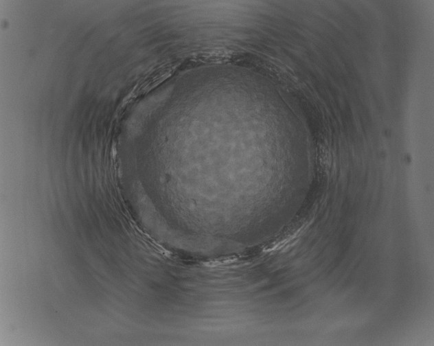 X0000072540818200607281621