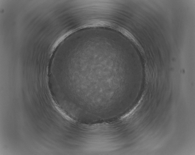 X0000072540842200607281622