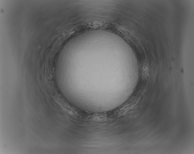 X0000072540865200607281621