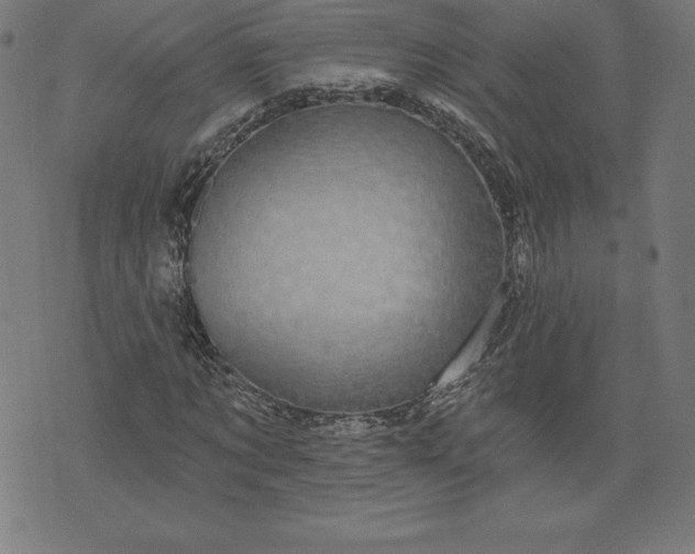X0000072540869200607281621