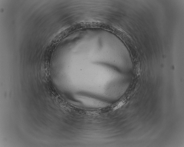 X0000072540870200607281621