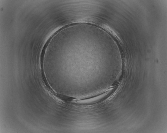 X0000072540884200607281621