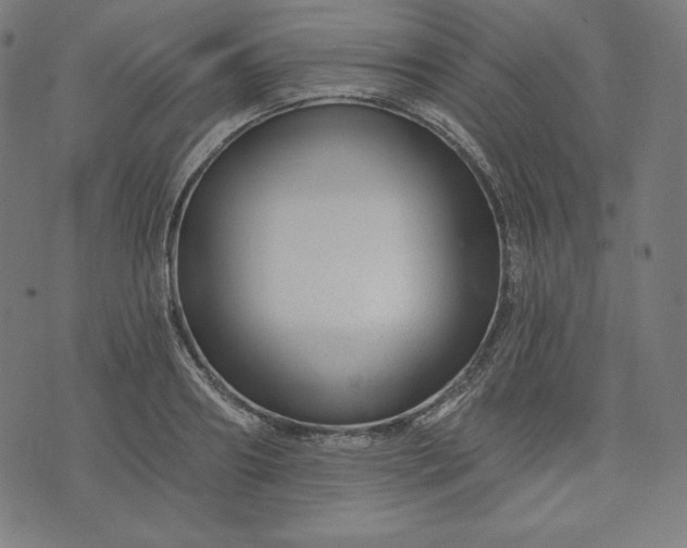 X0000072540890200607281621
