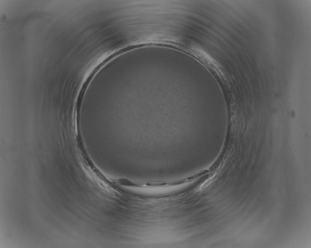 X0000072540892200607281621