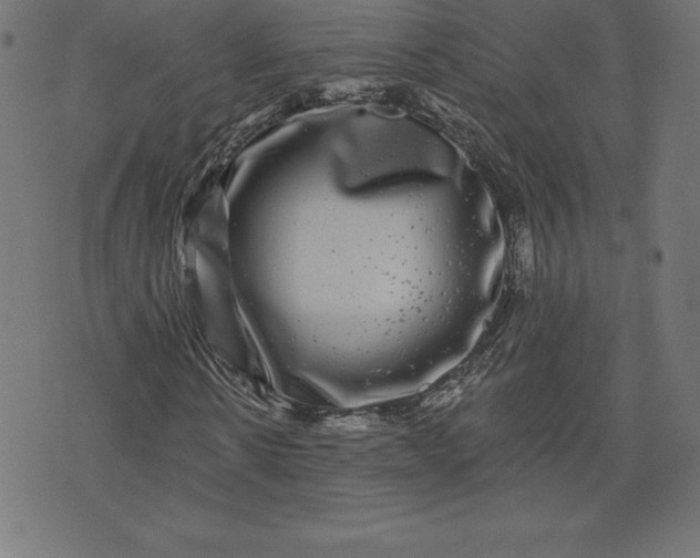X0000072540914200607281620