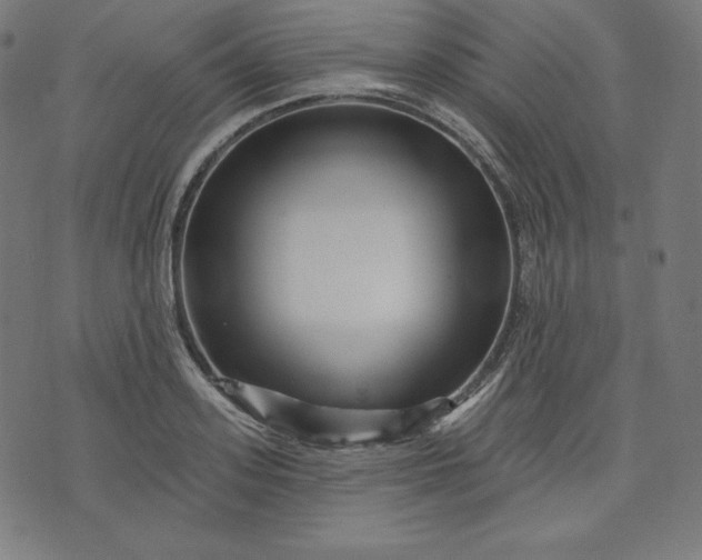 X0000072540939200607281620