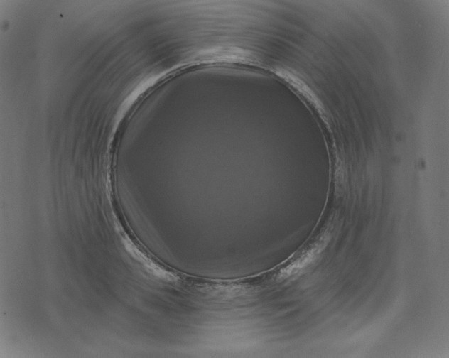 X0000072540941200607281620