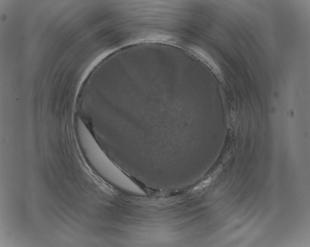 X0000072540948200607281620