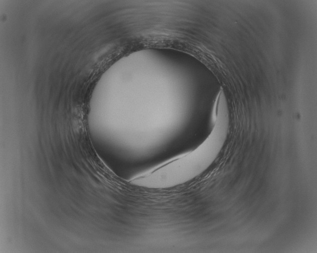 X0000072540964200607281620