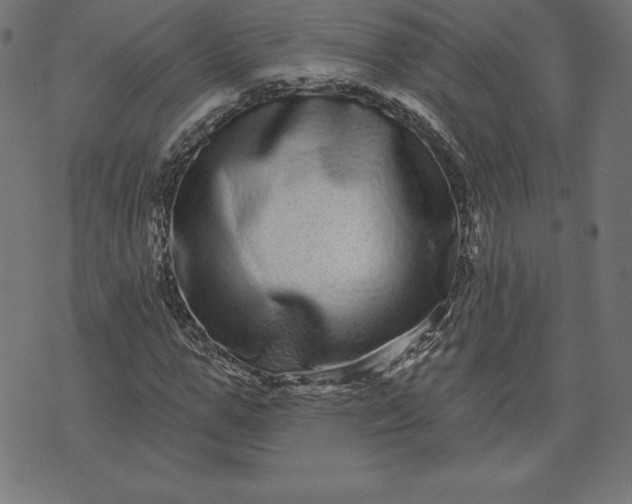 X0000072540967200607281620