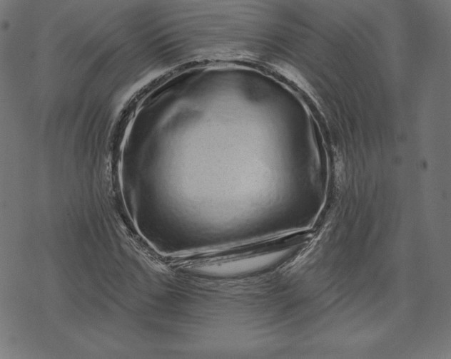 X0000072540971200607281620