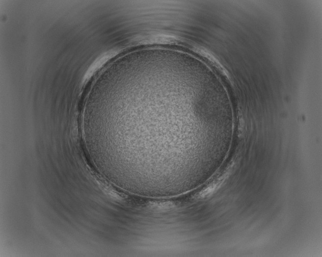 X0000072540978200607281619