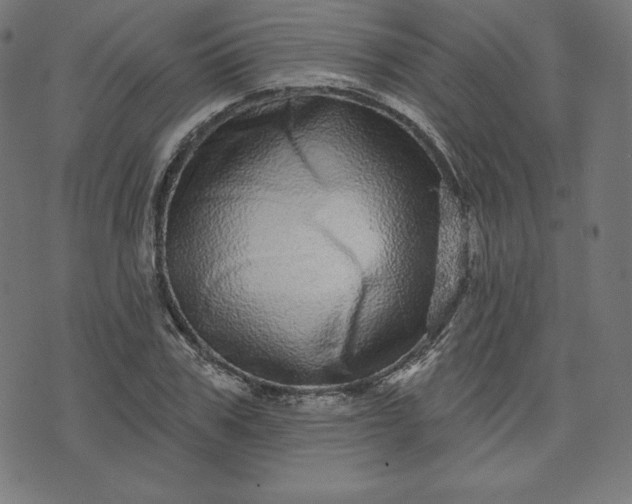 X0000072540979200607281619
