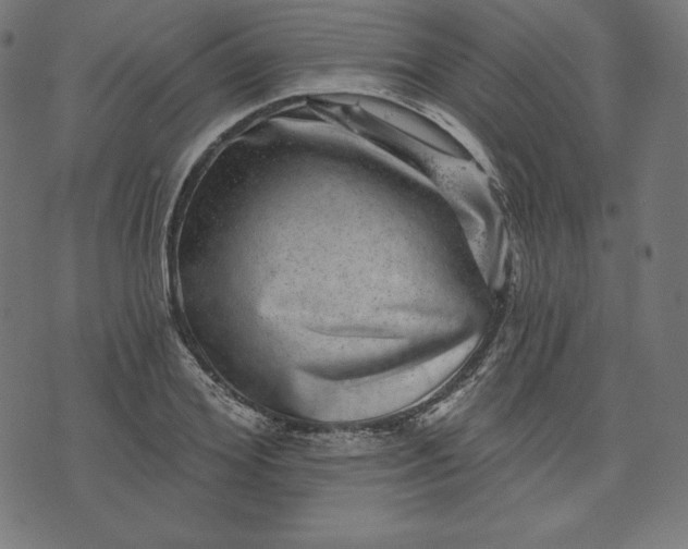 X0000072540980200607281619