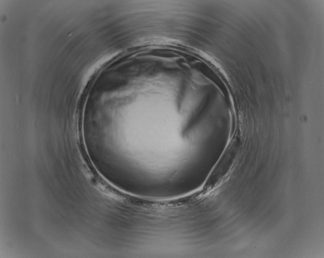 X0000072540987200607281619
