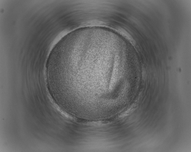 X0000072540990200607281619