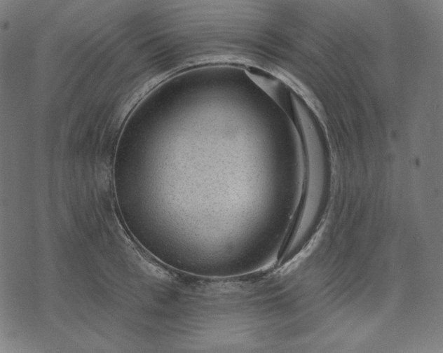X0000072540993200607281619