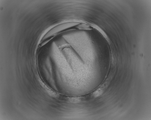 X0000072541004200607281619