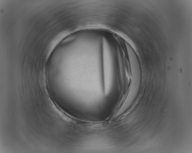 X0000072541006200607281619