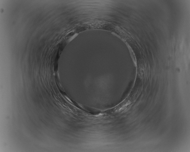 X0000072541010200607281618
