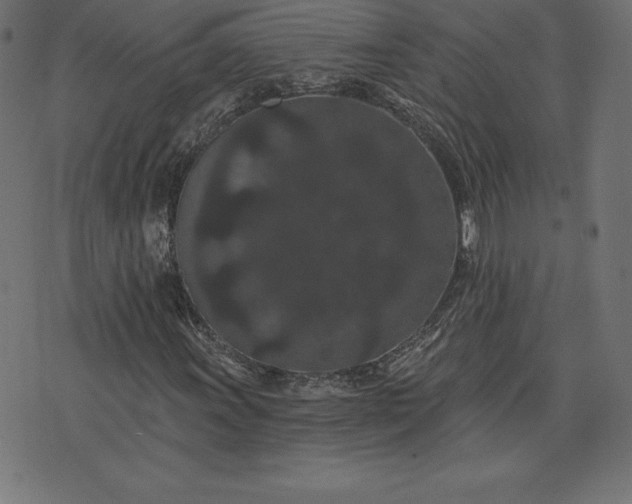 X0000072541011200607281618