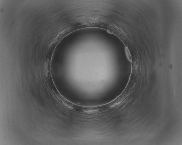 X0000072541012200607281618