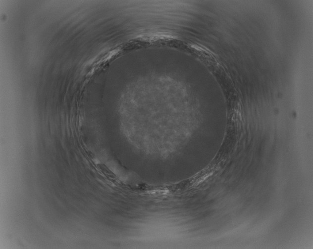 X0000072541014200607281618